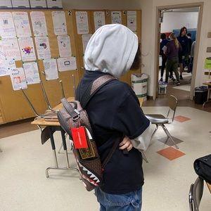 Meet your Posher, Quinn